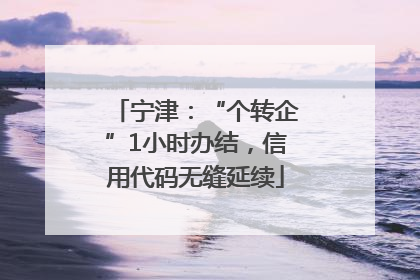 宁津：“个转企”1小时办结，信用代码无缝延续