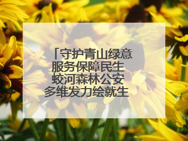 守护青山绿意 服务保障民生 蛟河森林公安多维发力绘就生态惠民新画卷