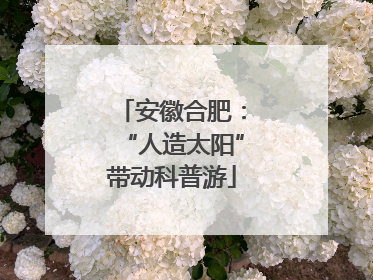 安徽合肥：“人造太阳”带动科普游