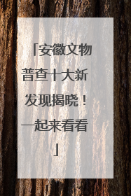 安徽文物普查十大新发现揭晓！一起来看看