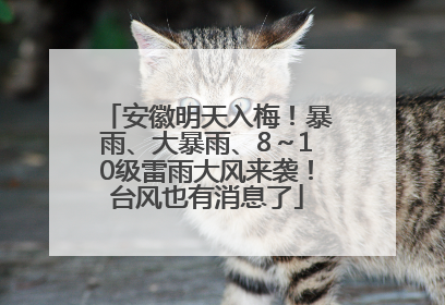 安徽明天入梅！暴雨、大暴雨、8～10级雷雨大风来袭！台风也有消息了