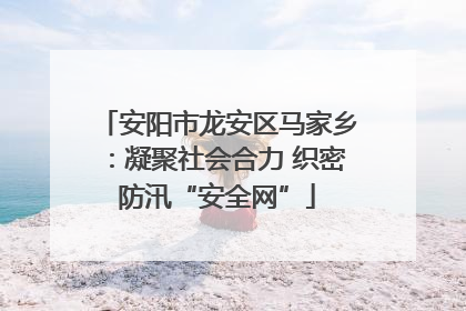 安阳市龙安区马家乡：凝聚社会合力 织密防汛“安全网”