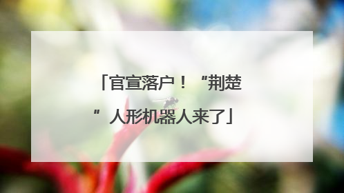 官宣落户！“荆楚”人形机器人来了