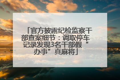 官方披露纪检监察干部查案细节：调取停车记录发现3名干部假“办事”真麻将