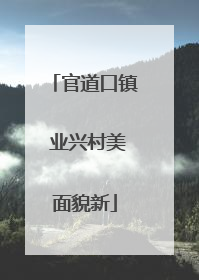 官道口镇 业兴村美面貌新