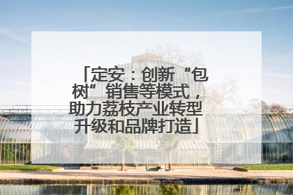 定安：创新“包树”销售等模式，助力荔枝产业转型升级和品牌打造