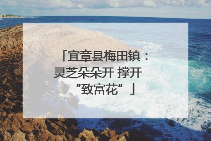 宜章县梅田镇：灵芝朵朵开 撑开“致富花”