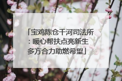 宝鸡陈仓千河司法所：暖心帮扶点亮新生 多方合力助燃希望