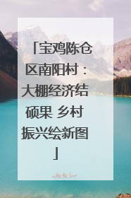 宝鸡陈仓区南阳村：大棚经济结硕果 乡村振兴绘新图