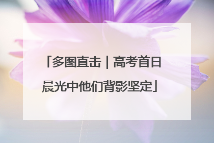多图直击｜高考首日 晨光中他们背影坚定