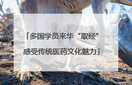多国学员来华“取经” 感受传统医药文化魅力