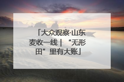大众观察·山东麦收一线｜“无形田”里有大账