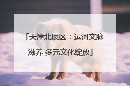 天津北辰区：运河文脉滋养 多元文化绽放