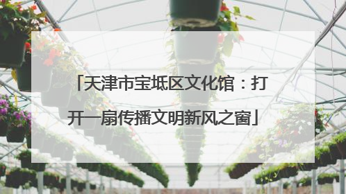 天津市宝坻区文化馆：打开一扇传播文明新风之窗