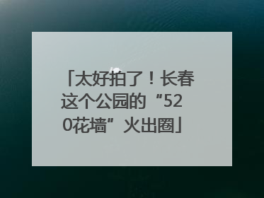 太好拍了！长春这个公园的“520花墙”火出圈