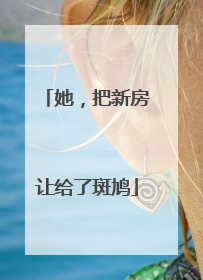 她，把新房让给了斑鸠