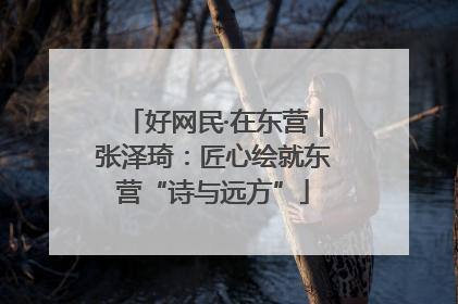 好网民·在东营｜张泽琦：匠心绘就东营“诗与远方”