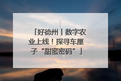 好德州丨数字农业上线！探寻车厘子“甜蜜密码”