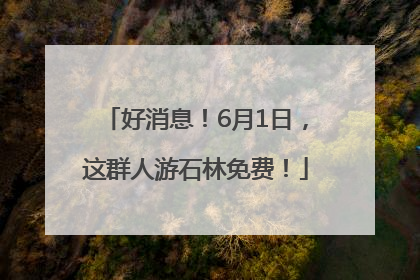 好消息！6月1日，这群人游石林免费！