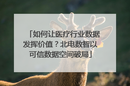 如何让医疗行业数据发挥价值？北电数智以可信数据空间破局