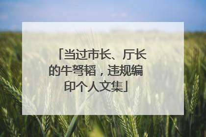 当过市长、厅长的牛弩韬，违规编印个人文集