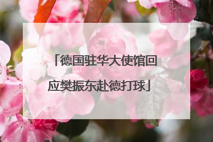 德国驻华大使馆回应樊振东赴德打球