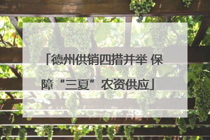 德州供销四措并举 保障“三夏”农资供应