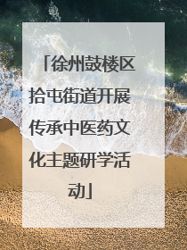 徐州鼓楼区拾屯街道开展传承中医药文化主题研学活动