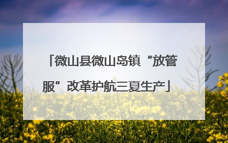 微山县微山岛镇“放管服”改革护航三夏生产