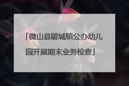 微山县驩城镇公办幼儿园开展期末业务检查