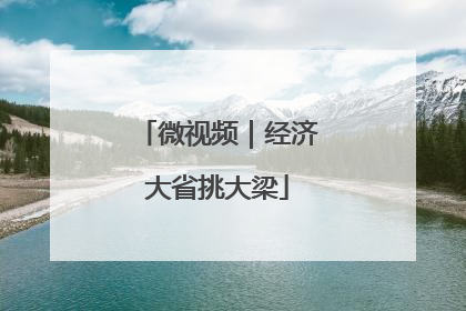 微视频｜经济大省挑大梁
