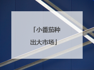 小番茄种出大市场