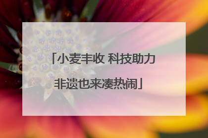 小麦丰收 科技助力 非遗也来凑热闹