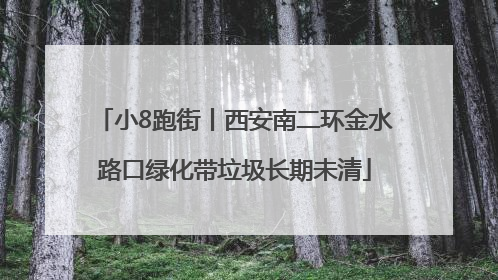 小8跑街丨西安南二环金水路口绿化带垃圾长期未清