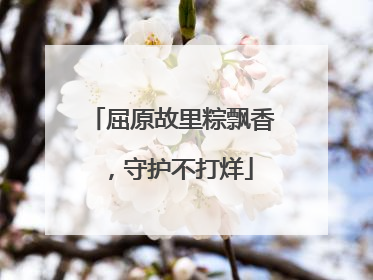 屈原故里粽飘香，守护不打烊