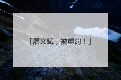 屠文斌，被重罚！