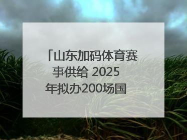 山东加码体育赛事供给 2025年拟办200场国家级以上赛事