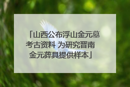 山西公布浮山金元墓考古资料 为研究晋南金元葬具提供样本