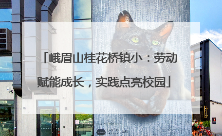 峨眉山桂花桥镇小：劳动赋能成长，实践点亮校园