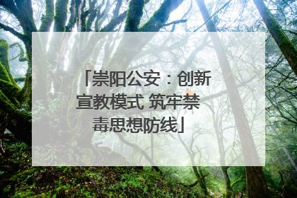 崇阳公安：创新宣教模式 筑牢禁毒思想防线