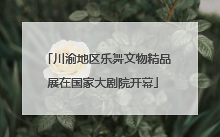 川渝地区乐舞文物精品展在国家大剧院开幕
