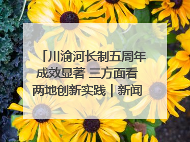 川渝河长制五周年成效显著 三方面看两地创新实践｜新闻发布最前线
