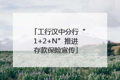 工行汉中分行“1+2+N”推进存款保险宣传