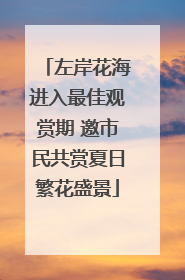 左岸花海进入最佳观赏期 邀市民共赏夏日繁花盛景