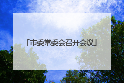 市委常委会召开会议