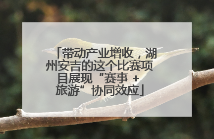 带动产业增收，湖州安吉的这个比赛项目展现“赛事 + 旅游”协同效应