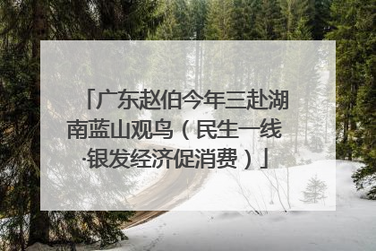 广东赵伯今年三赴湖南蓝山观鸟（民生一线·银发经济促消费）