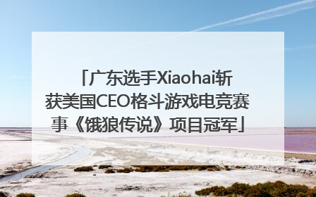 广东选手Xiaohai斩获美国CEO格斗游戏电竞赛事《饿狼传说》项目冠军