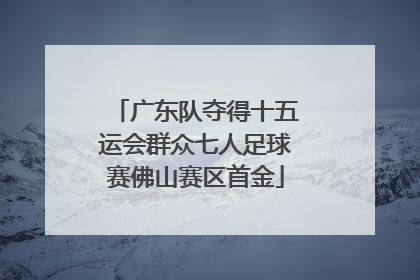 广东队夺得十五运会群众七人足球赛佛山赛区首金