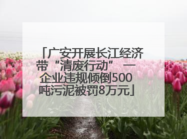 广安开展长江经济带“清废行动” 一企业违规倾倒500吨污泥被罚8万元